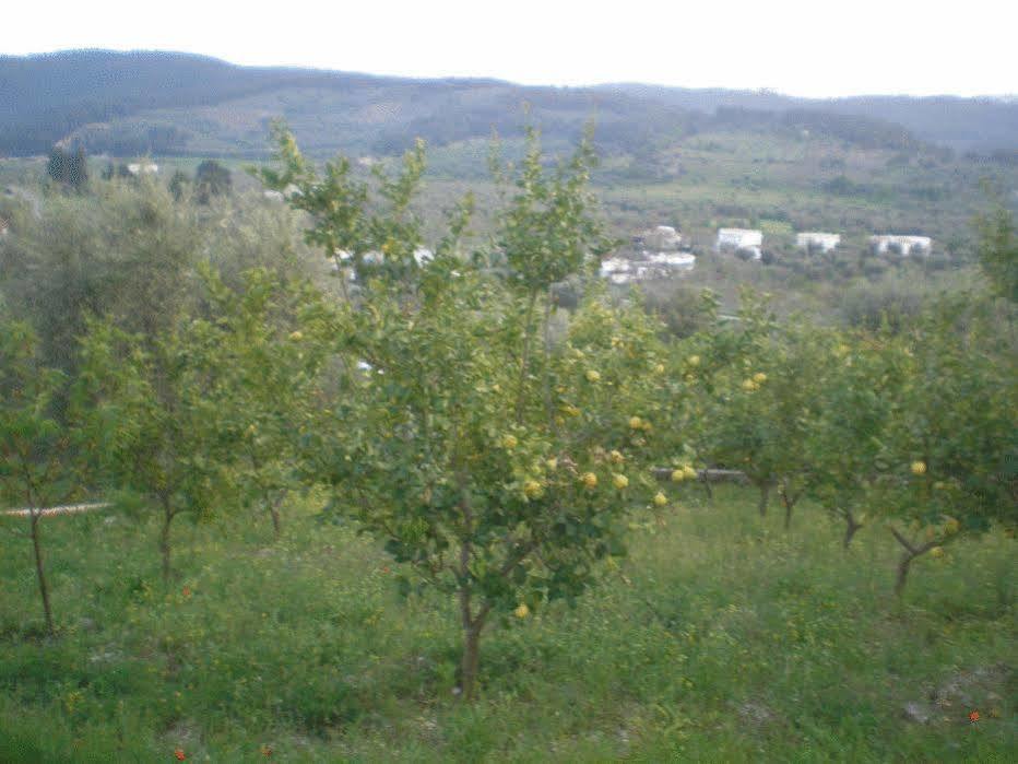 Parco Dei Limoni Vendégház Peschici Kültér fotó