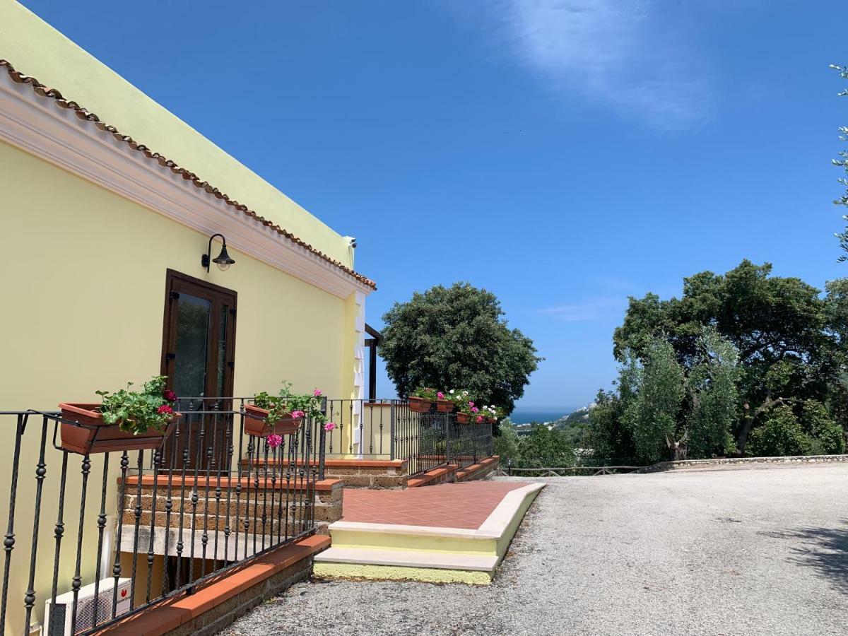 Parco Dei Limoni Vendégház Peschici Kültér fotó
