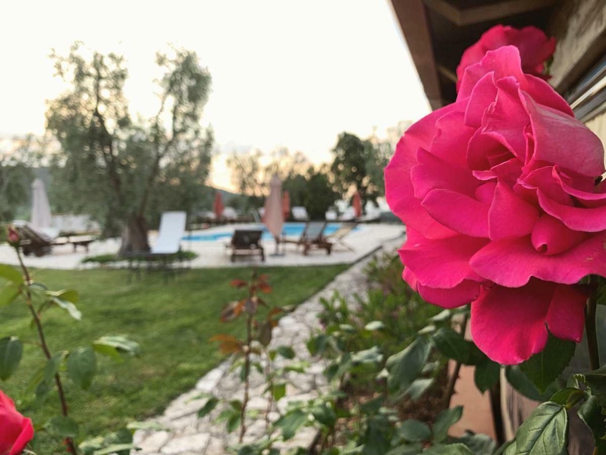 Parco Dei Limoni Vendégház Peschici Kültér fotó