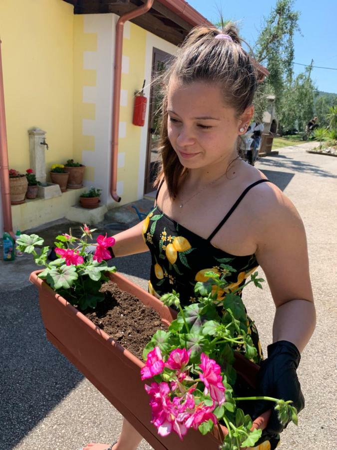 Parco Dei Limoni Vendégház Peschici Kültér fotó